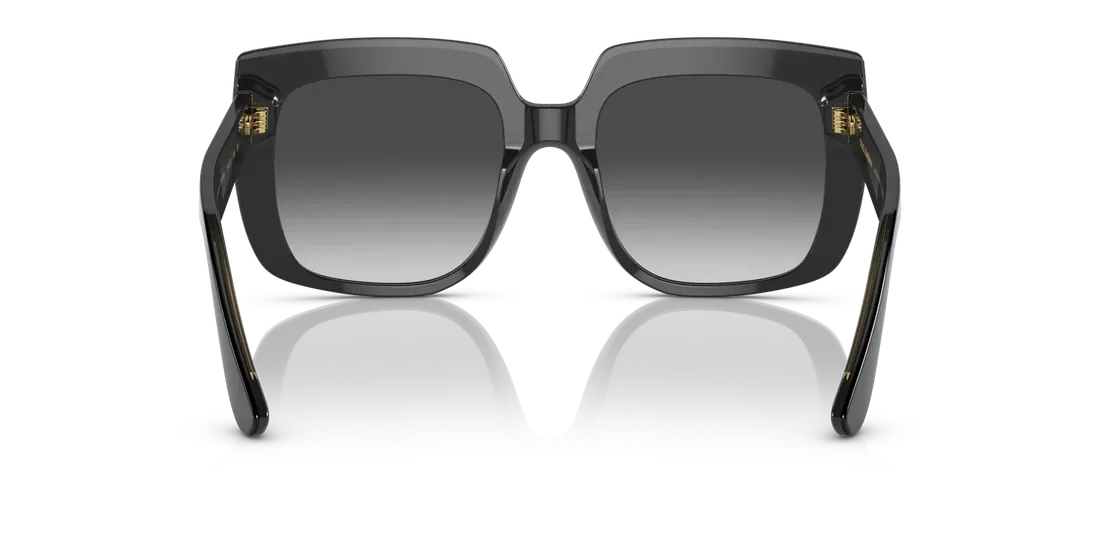 Dolce & Gabbana 0DG4414501/8G54