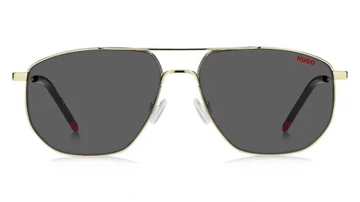 Hugo Boss HG 1207/S